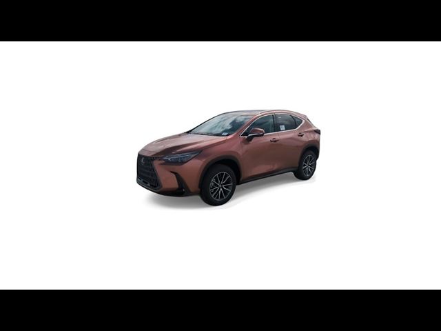 2025 Lexus NX 250