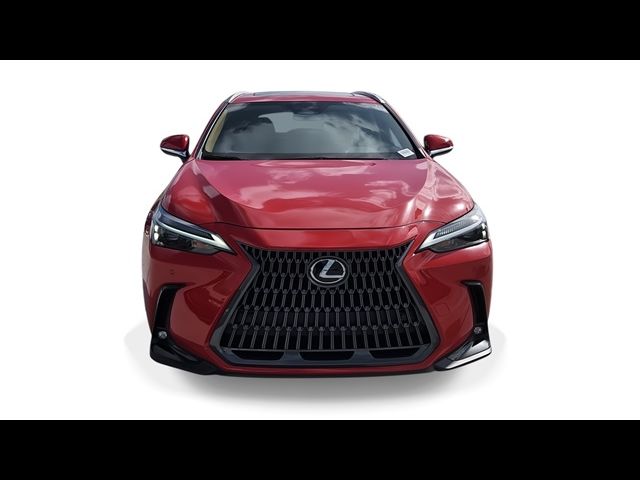 2025 Lexus NX 250