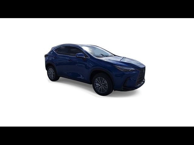 2025 Lexus NX 250