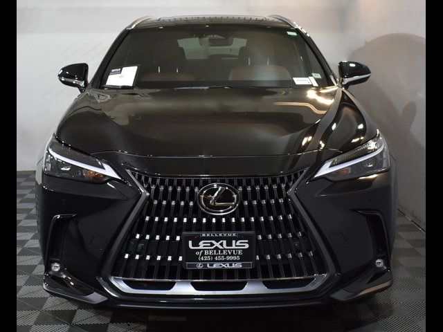 2025 Lexus NX 250