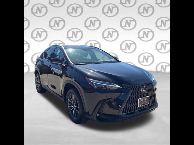 2025 Lexus NX 250