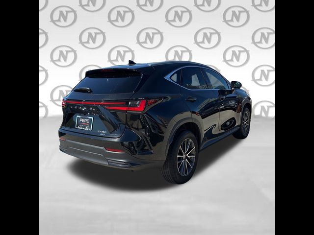 2025 Lexus NX 250