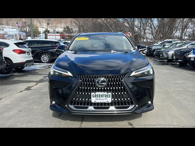 2025 Lexus NX 250