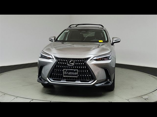 2025 Lexus NX 250