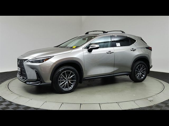 2025 Lexus NX 250