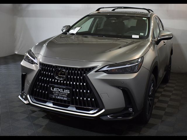 2025 Lexus NX 250