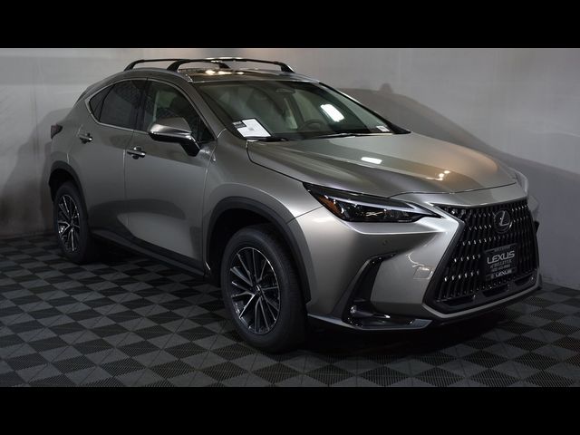 2025 Lexus NX 250