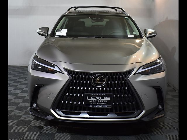 2025 Lexus NX 250