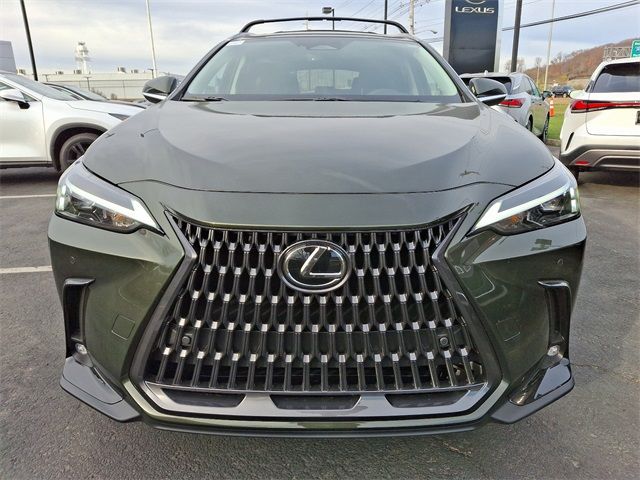 2025 Lexus NX 250