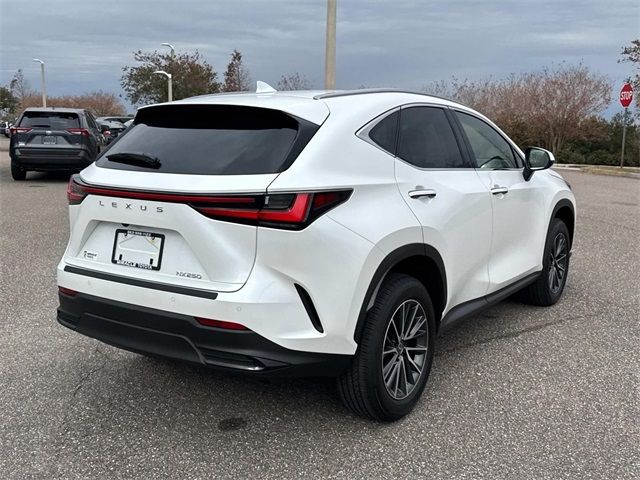 2025 Lexus NX 250