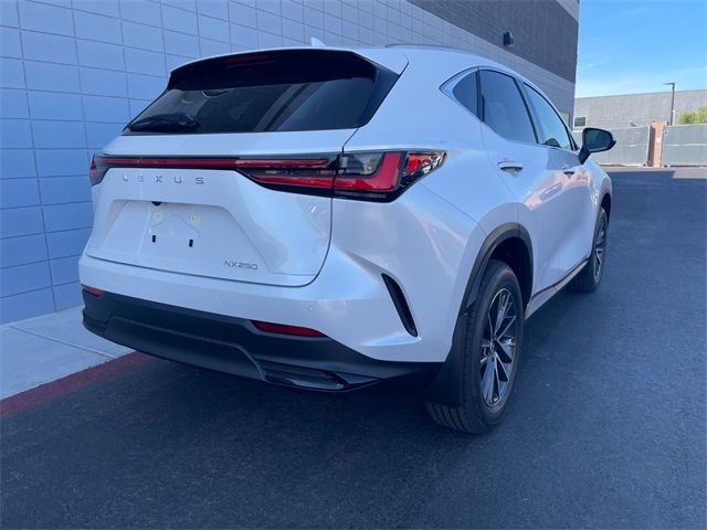 2025 Lexus NX 250