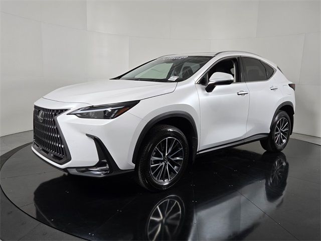 2025 Lexus NX 250