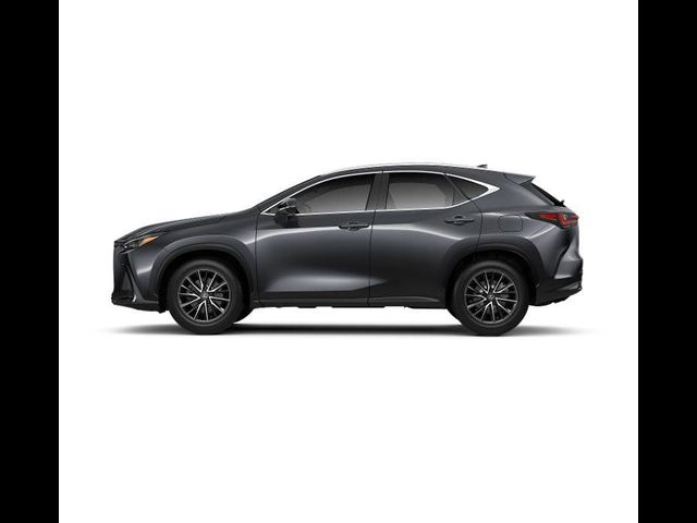 2025 Lexus NX 250