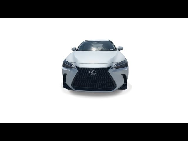 2025 Lexus NX 250