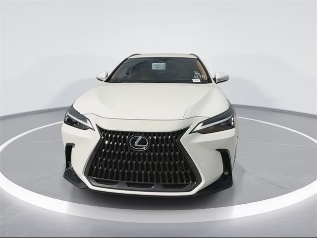 2025 Lexus NX 250