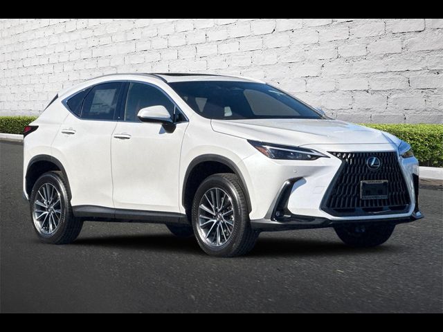 2025 Lexus NX 250