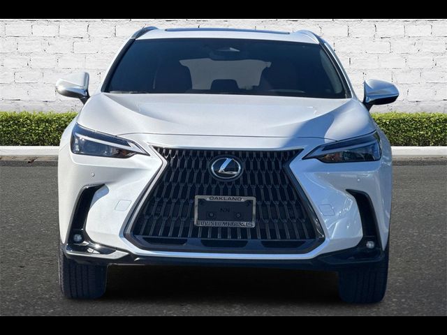 2025 Lexus NX 250