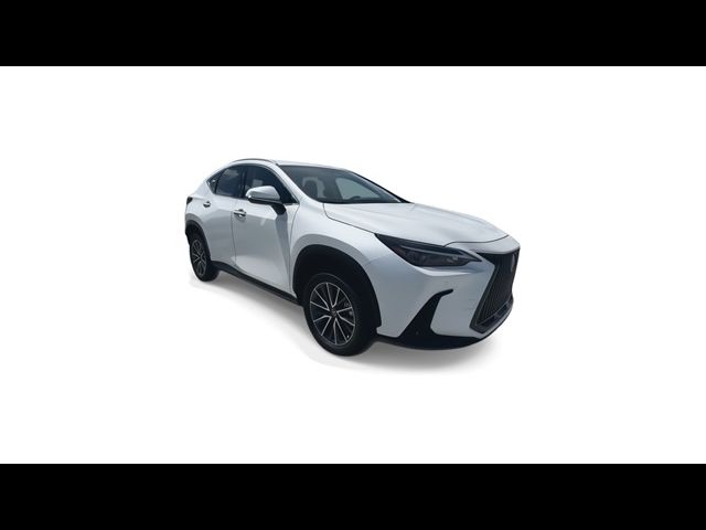 2025 Lexus NX 250