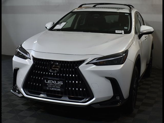 2025 Lexus NX 250