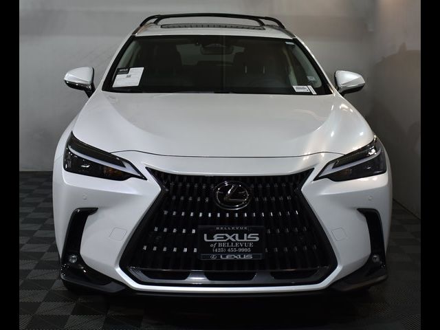 2025 Lexus NX 250