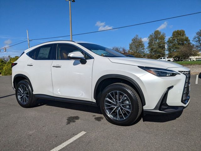 2025 Lexus NX 250