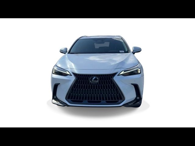 2025 Lexus NX 250 Premium