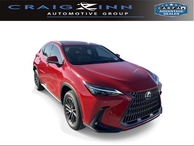 2025 Lexus NX 250 Premium