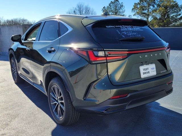 2025 Lexus NX 250 Premium