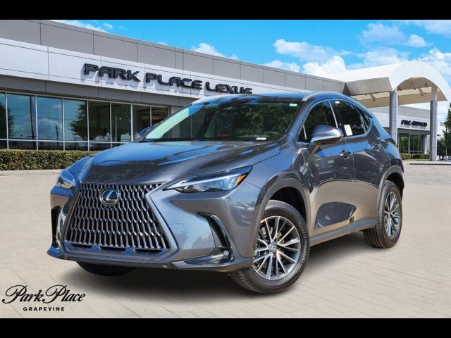 2025 Lexus NX 250 Premium