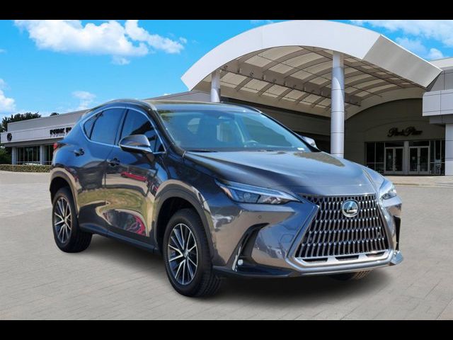 2025 Lexus NX 250 Premium