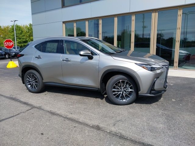 2025 Lexus NX 250 Premium