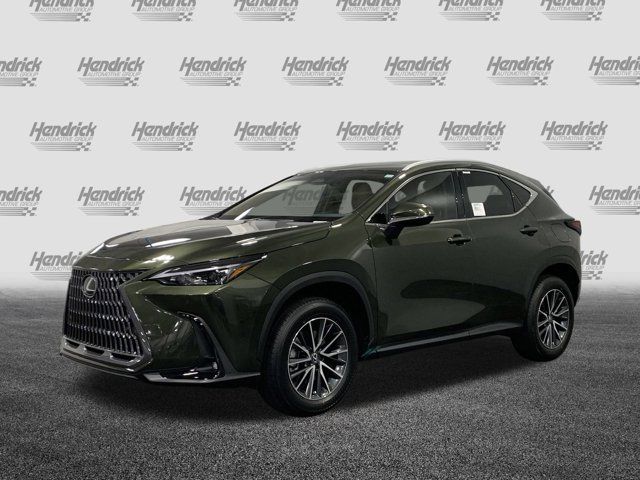 2025 Lexus NX 250 Premium