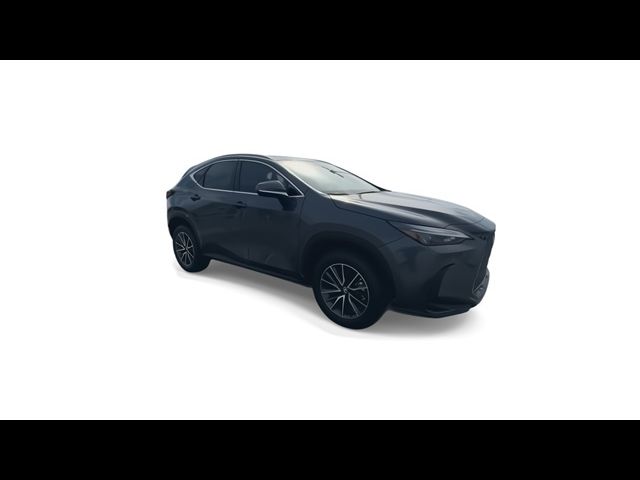 2025 Lexus NX 250 Premium