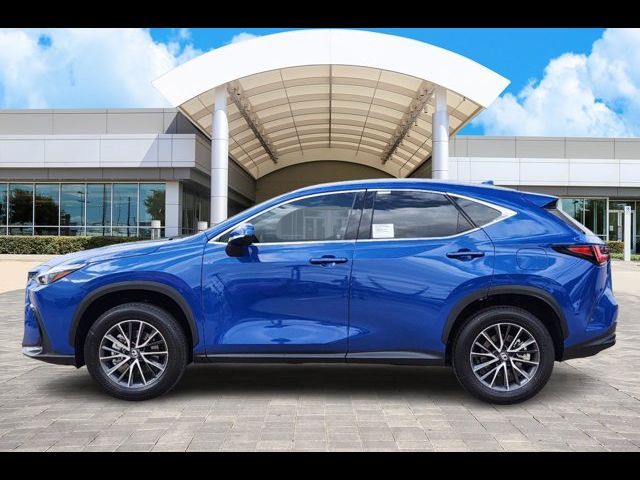 2025 Lexus NX 250 Premium