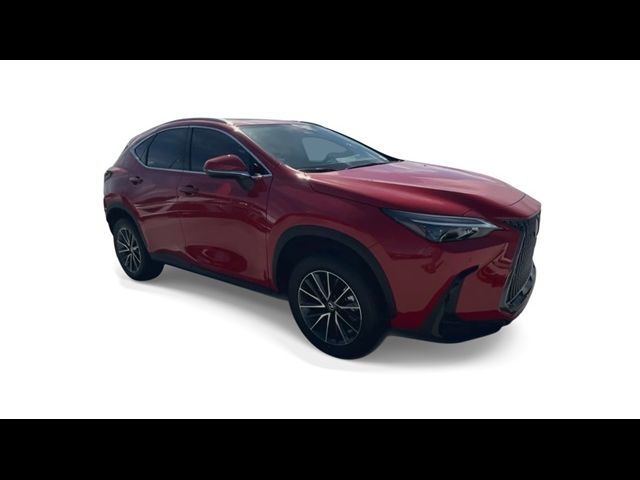 2025 Lexus NX 250 Premium