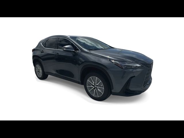 2025 Lexus NX 250 Premium