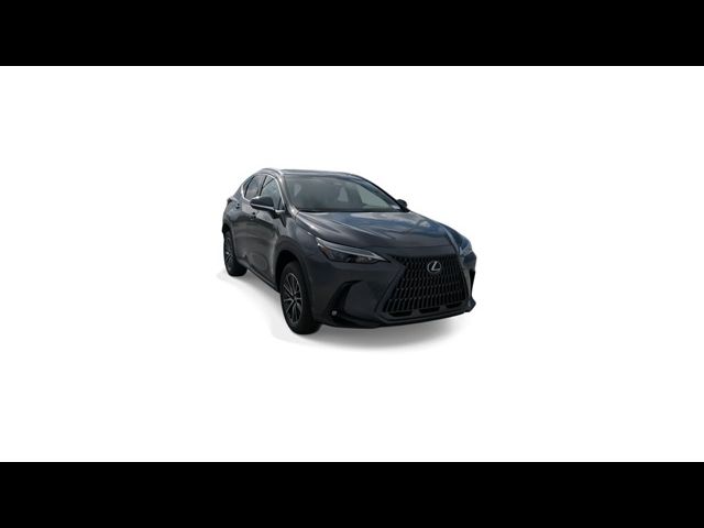 2025 Lexus NX 250 Premium