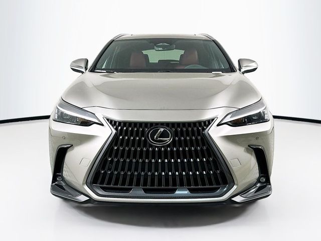 2025 Lexus NX 250 Premium