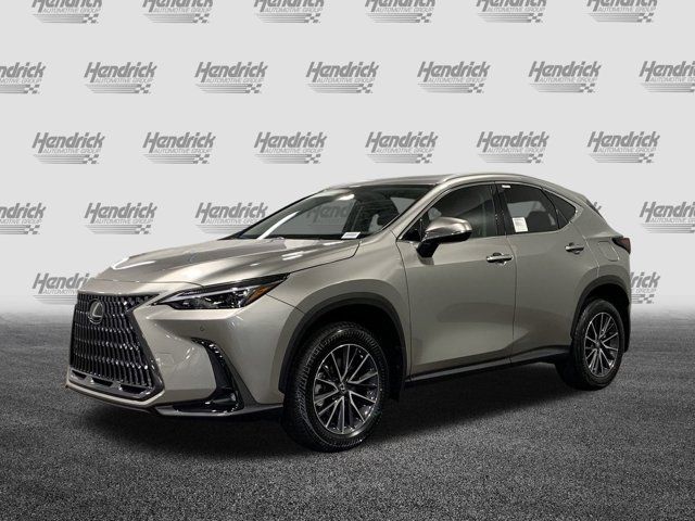 2025 Lexus NX 250 Premium