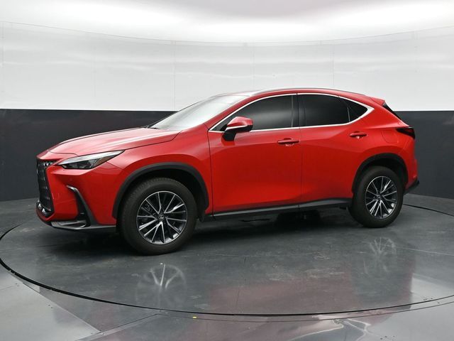 2025 Lexus NX 250 Premium