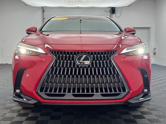 2025 Lexus NX 250 Premium