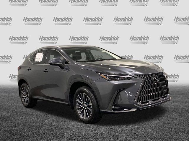 2025 Lexus NX 250 Premium