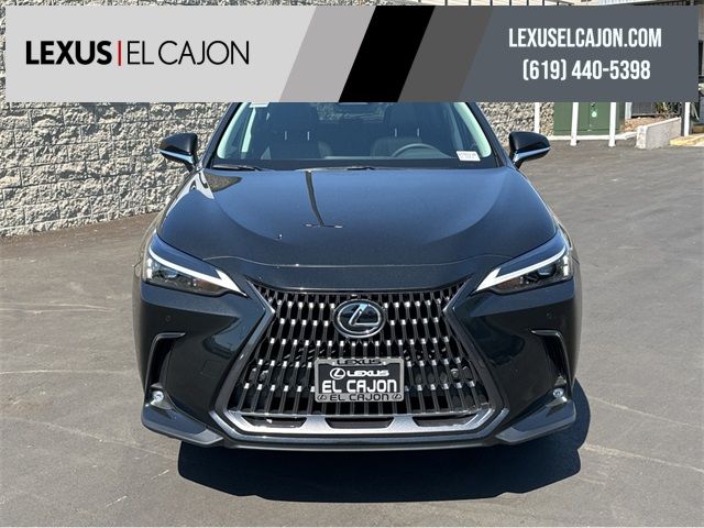 2025 Lexus NX 250 Premium