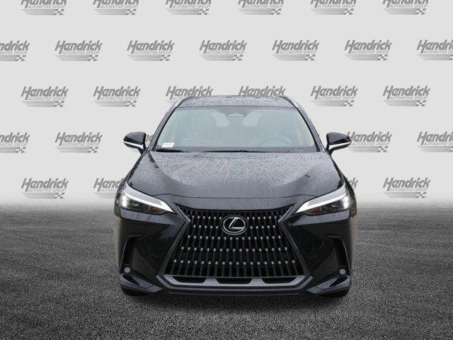 2025 Lexus NX 250 Premium