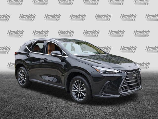 2025 Lexus NX 250 Premium