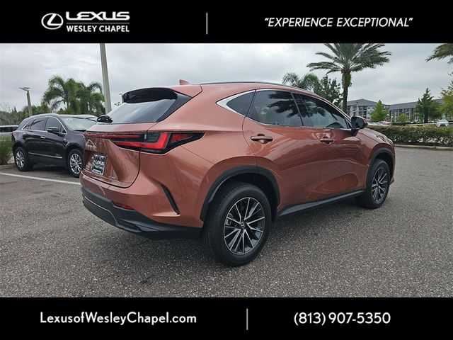 2025 Lexus NX 250 Premium