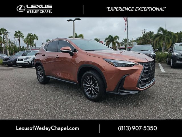 2025 Lexus NX 250 Premium