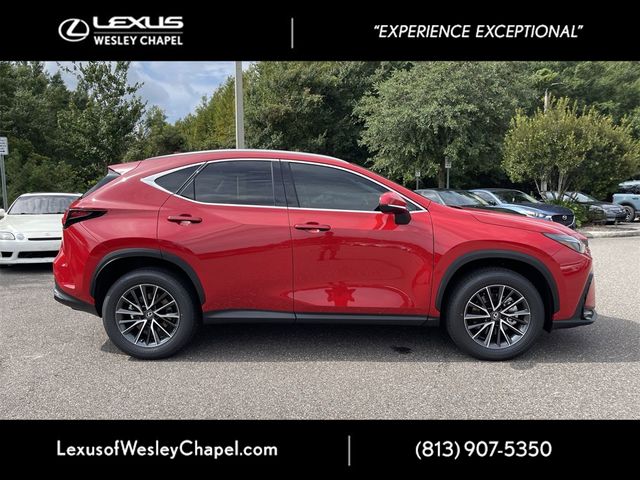 2025 Lexus NX 250 Premium