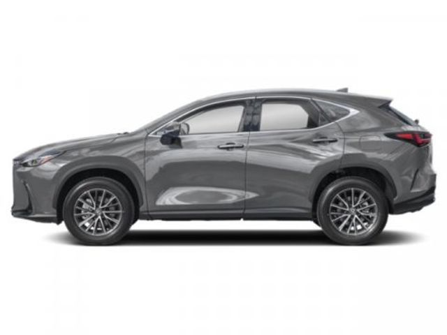 2025 Lexus NX 250 Premium