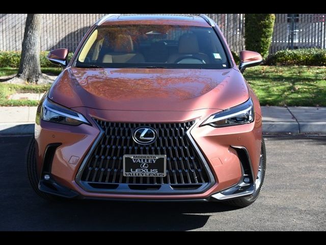 2025 Lexus NX 250 Premium